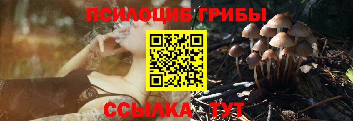 Ревда  Галлюциногенные грибы Magic Shrooms  Вход с VPN 